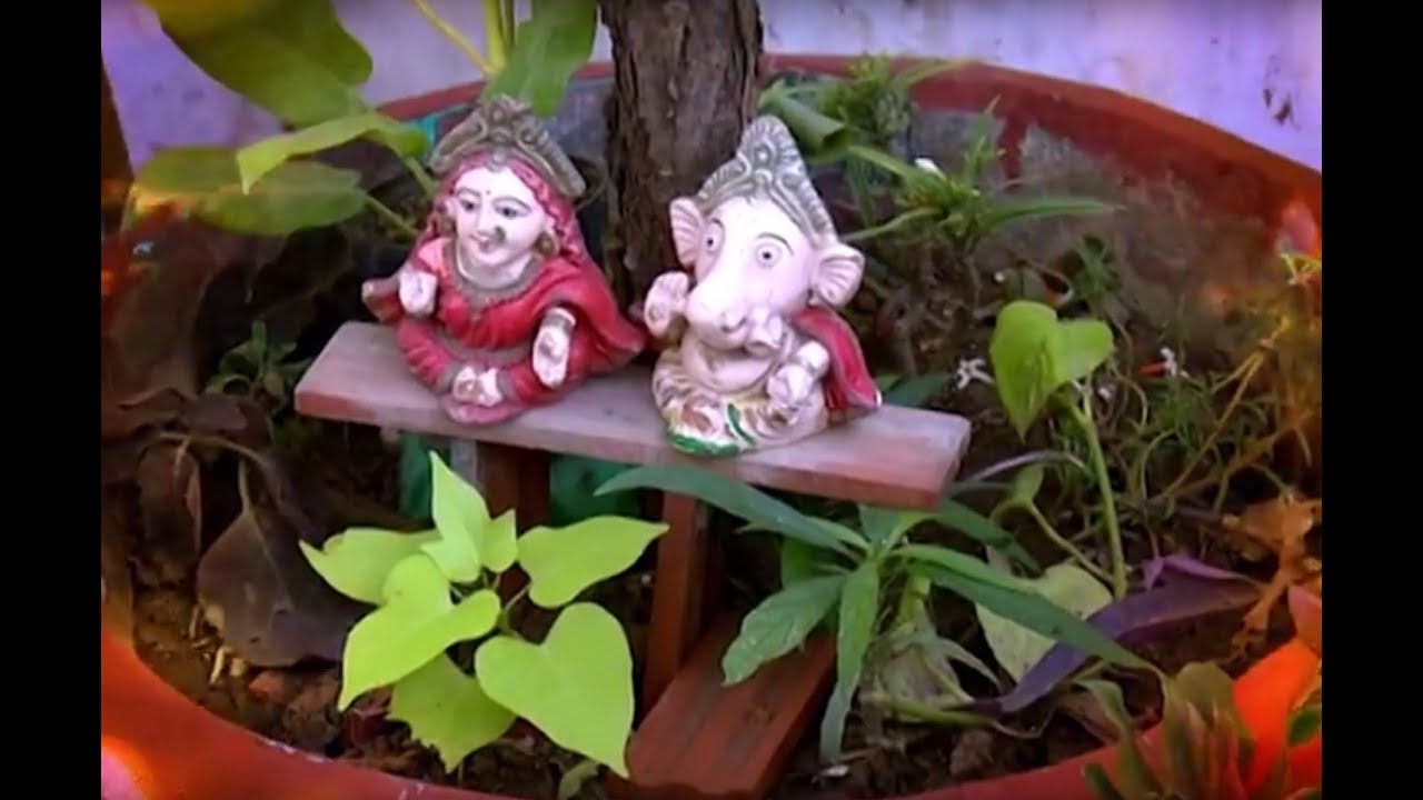 छत्त पर बाग़वानी - Creative use of waste left-over after Diwali for gardening