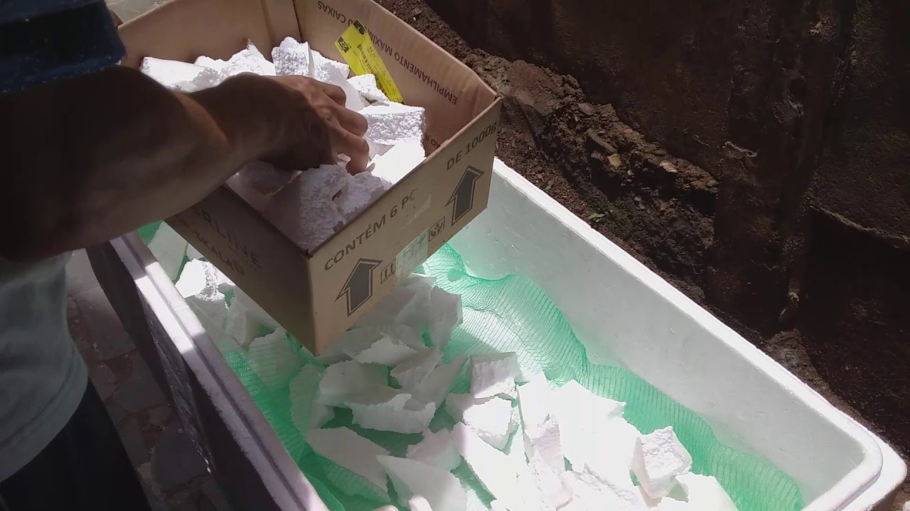 Horta na caixa de isopor (fácil, fácil de fazer)
