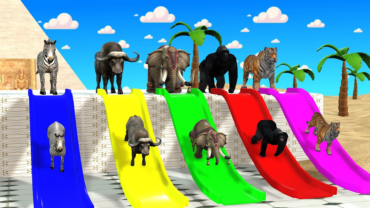 Long Slide Game With Cow Elephant Gorilla Hippopotamus Tiger 3d Animal Game Funny 3d Animals