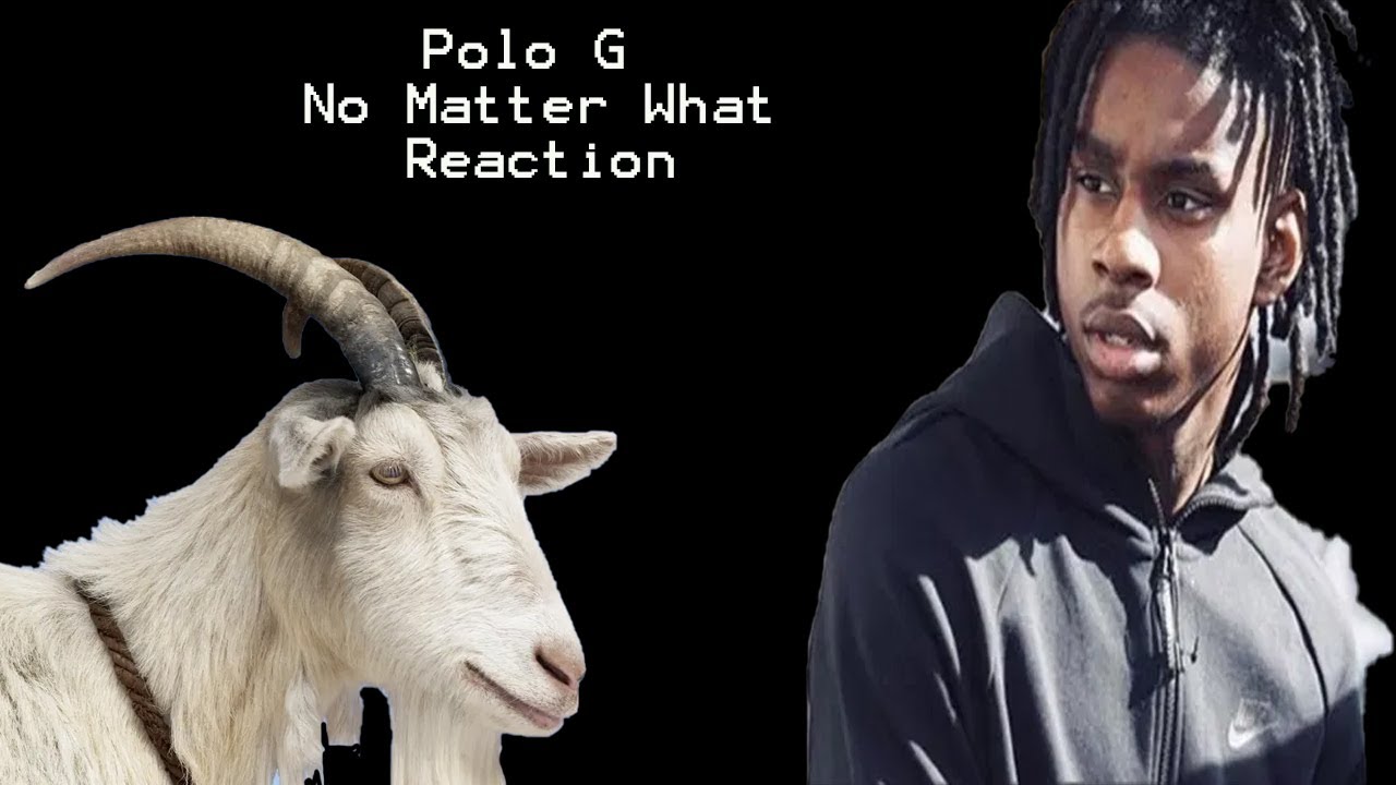 Polo G - No Matter What Reaction
