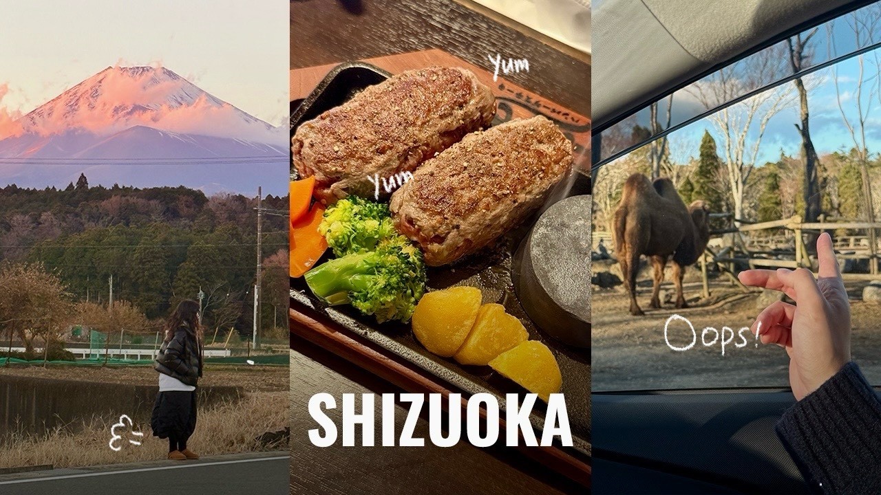 시즈오카ep2. 차안에서 동물을 맘껏 본다고? 지릴준비 해야한다.