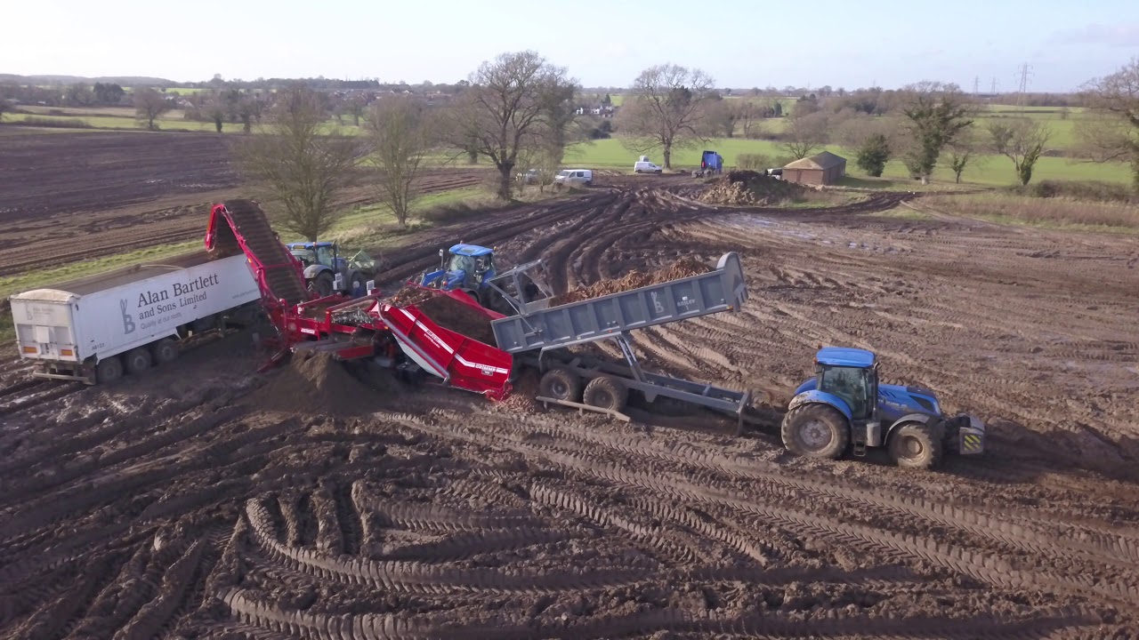 Carrot Harvest 2018 - Dewulf harvester New Holland T7's on cart