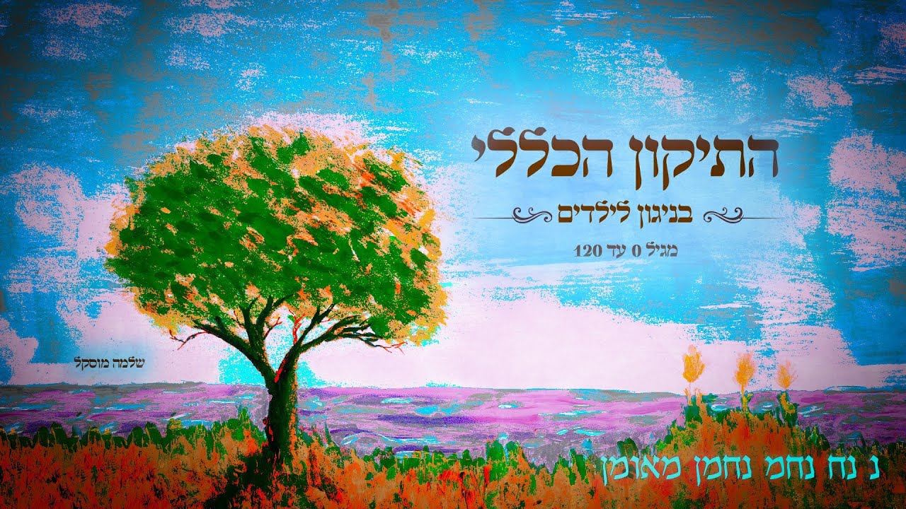 שלמה מוסקל - תיקון הכללי