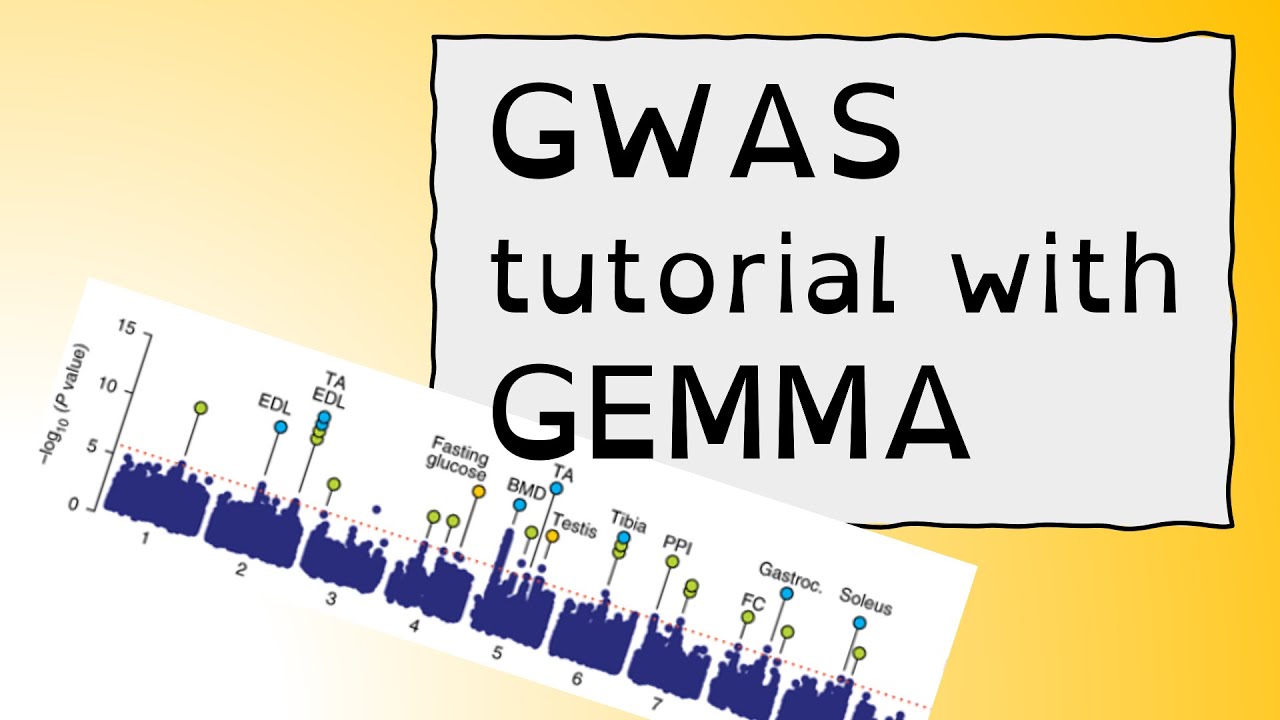 GWAS tutorial with GEMMA