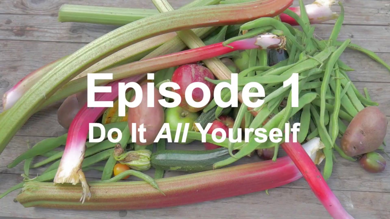 HARTLEY'S PLOT - episode 1- Do it all yourself.