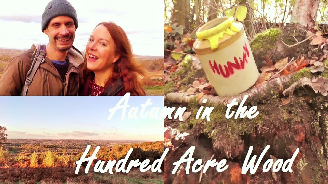 🍁 The REAL Hundred Acre Wood! Cozy Autumn Vlog 🎃