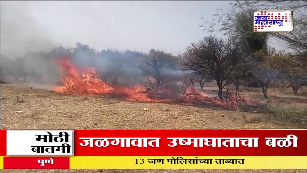 sweet lime farm set on fire by farmer