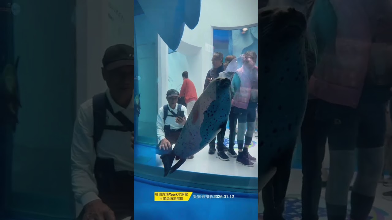 桃園青埔Xpark水族館2026.01.12