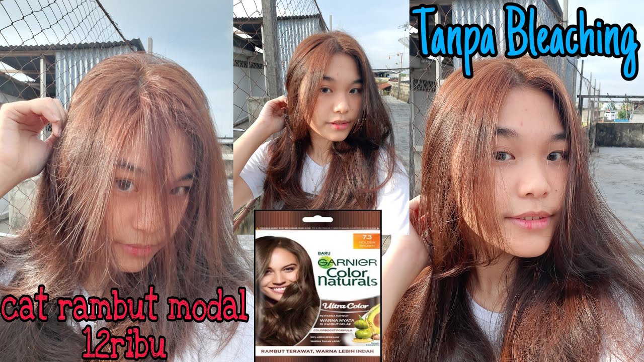 CAT RAMBUT SENDIRI MODAL 12RIBU (garnier golden brown)