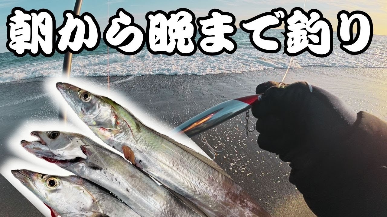 【サーフ】雑魚アングラーが朝から夜まで投げ倒してなんとか・・・