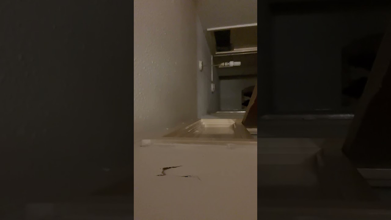 6551 23:56 20 JAN 2025.   00:17 AM BANING MY CEILING