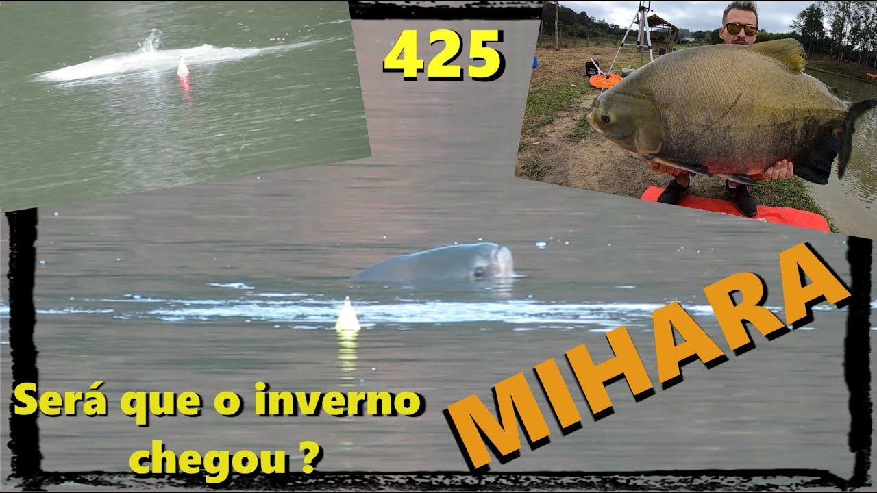 Será que o frio chegou no Pesqueiro Mihara? Eki Panela no Fishingtur na TV #425