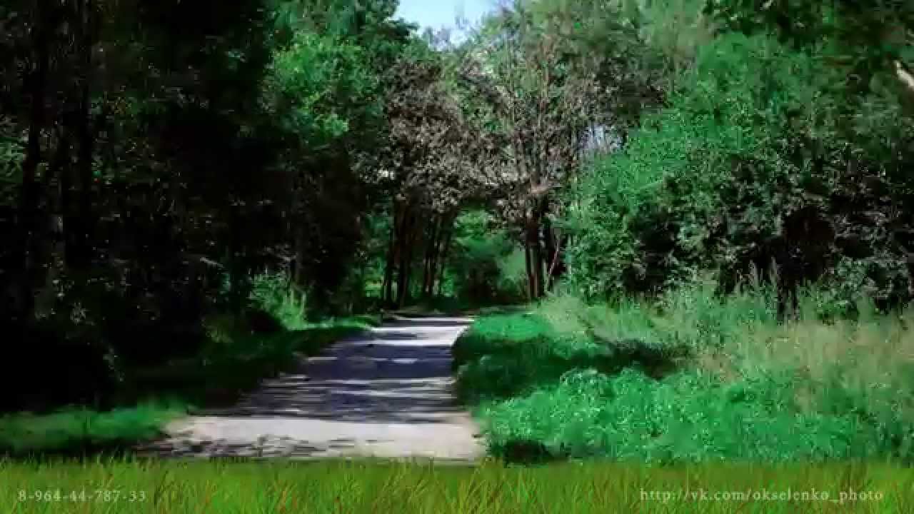 Спасск   Дальний - ФОТО Прогулка по городу