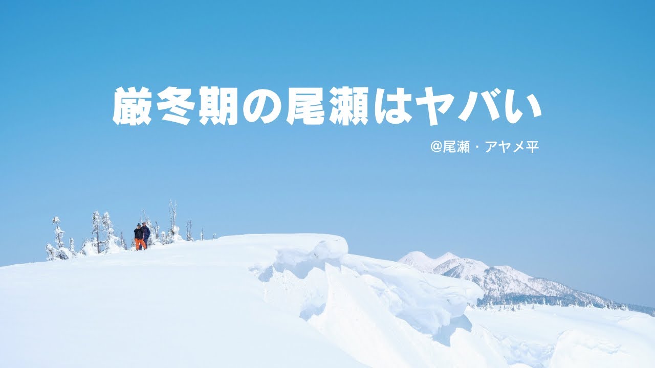 【プレミア】冬の尾瀬アヤメ平を巡るツアーに参加してみたら、そこは別世界だった。