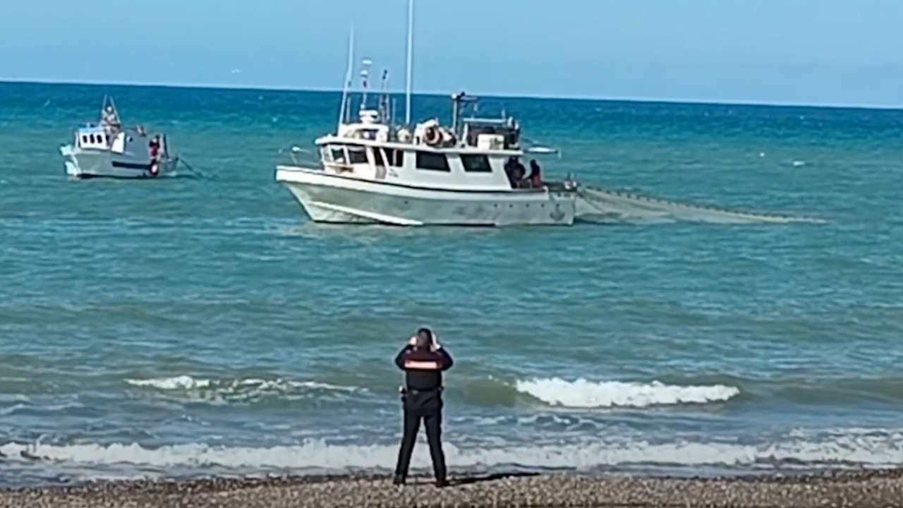 Ma di che parliamo? Guardate il video.