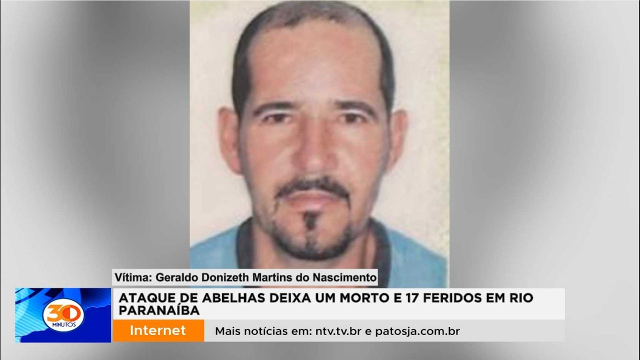 Ataque de abelhas deixa um morto e 17 feridos em Rio Paranaíba