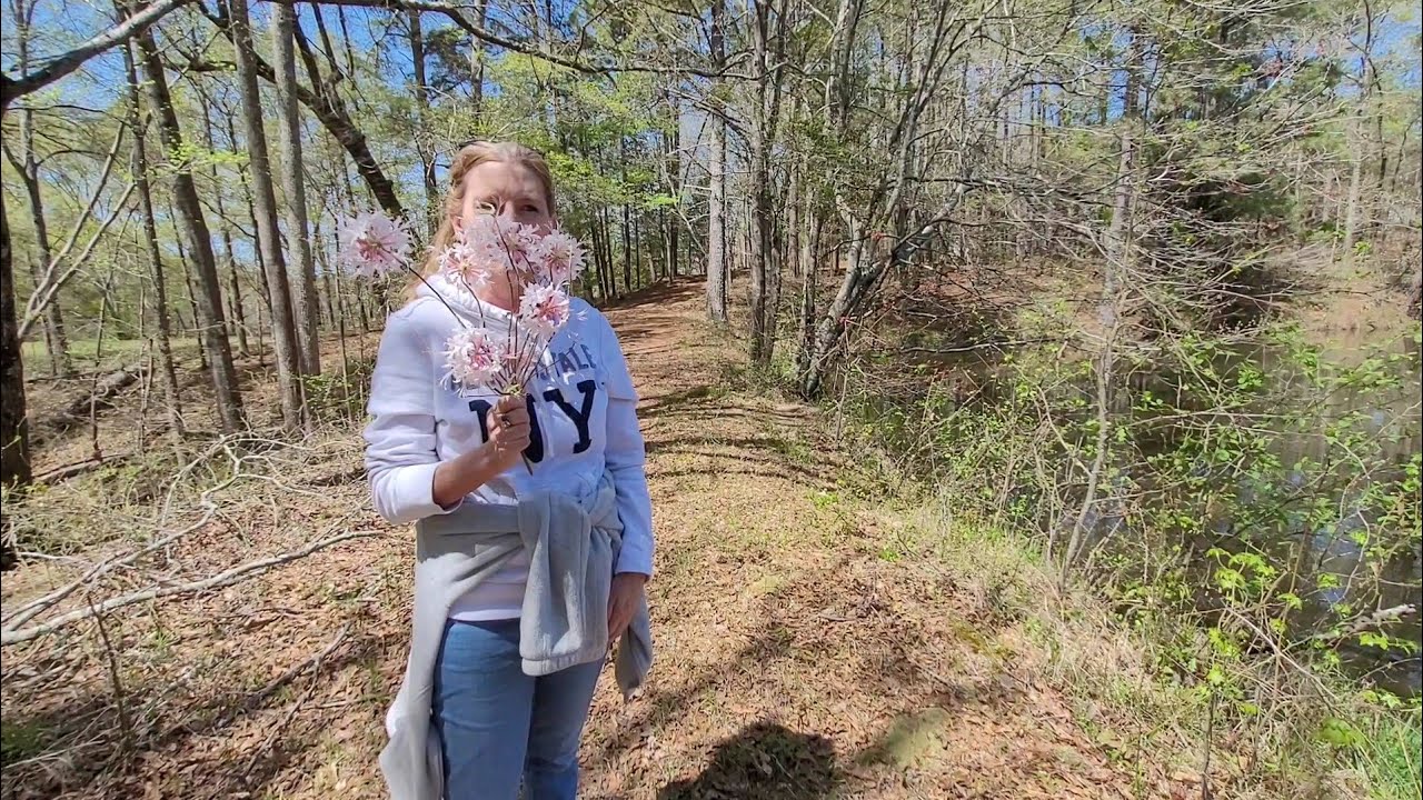 A walk in the woods (morel mushroom hunting)