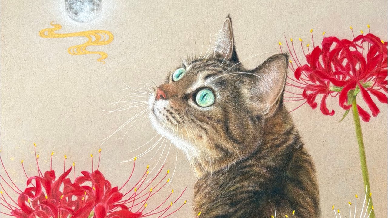 色鉛筆画【キジトラ猫と曼珠沙華】のメイキング動画🌝