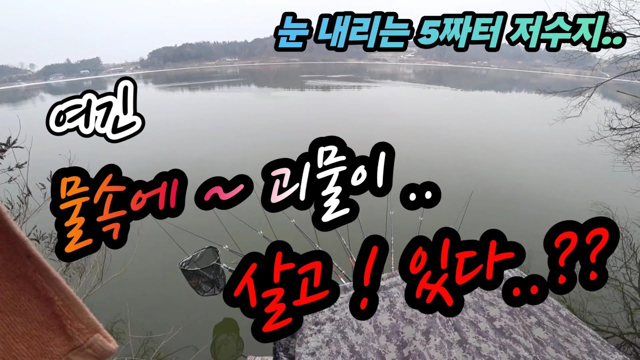 붕어낚시 , 계속 되는 공격  왜 !! 이러는데..같은 경험 하신분 많으시죠?? (Korean big fishing)