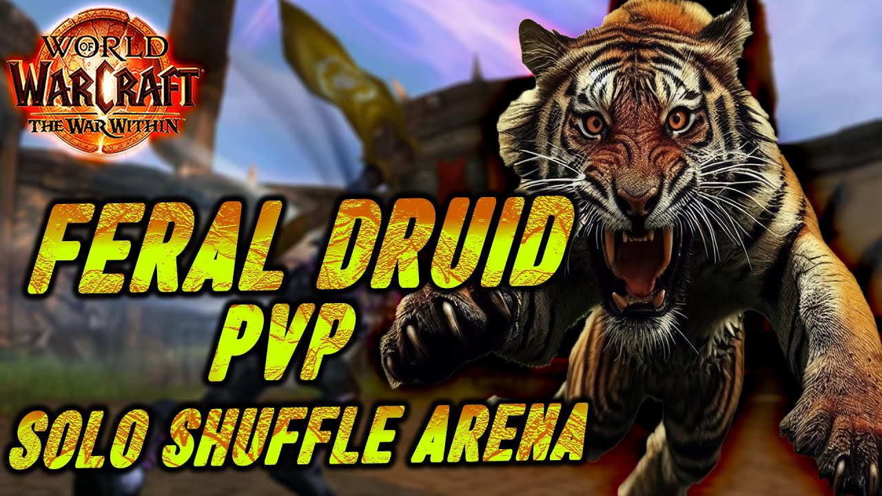 Feral Druid Dps - The War Within PvP - Solo Shuffle Arena - Season 1- Build Wildstalker #druid