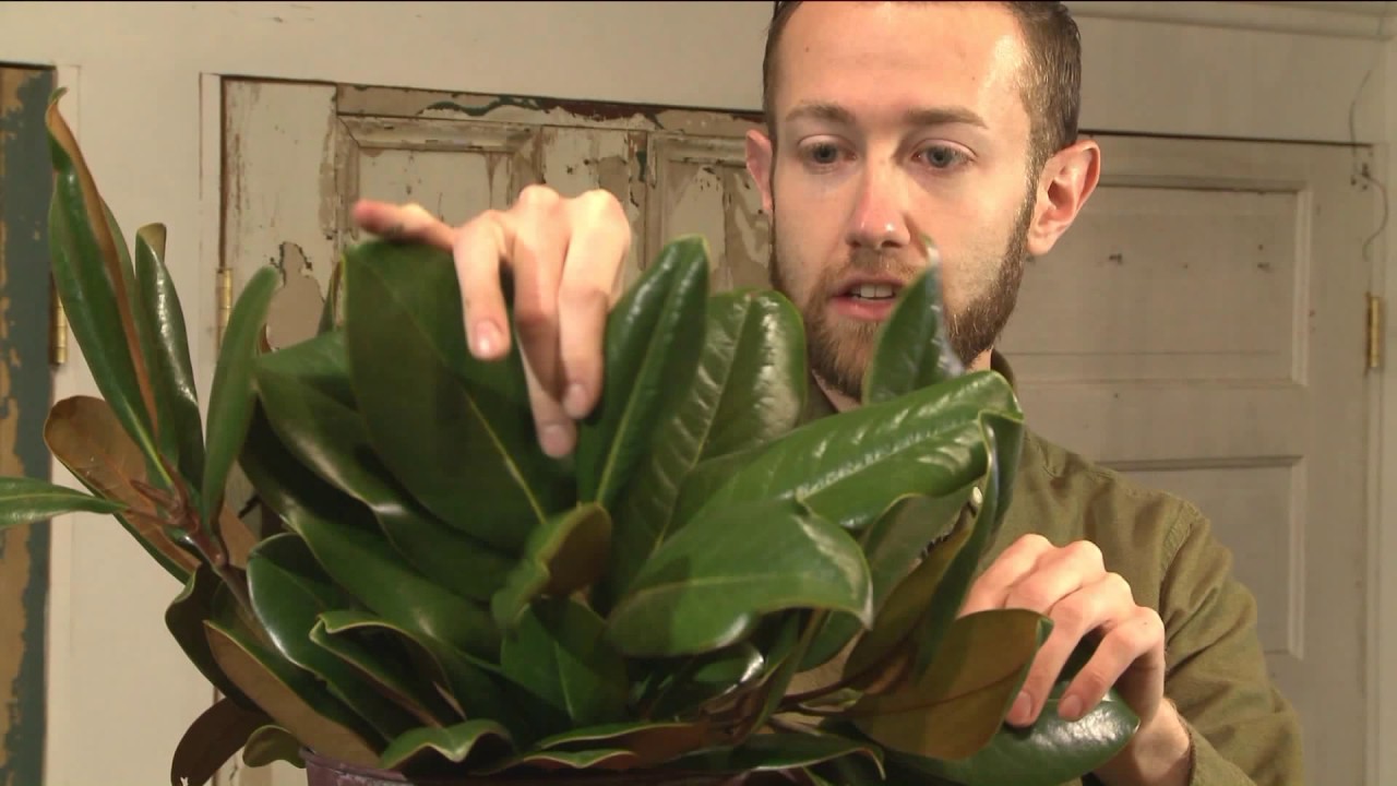Holiday Floral Arrangements
