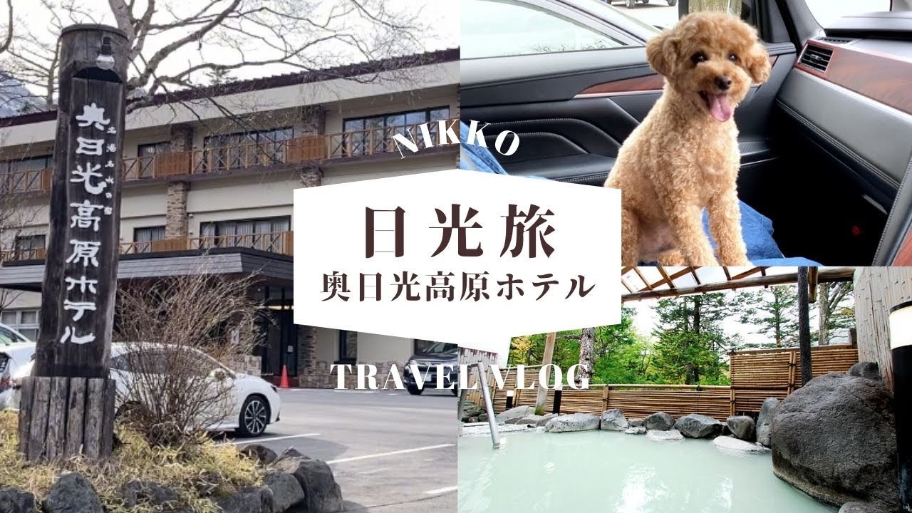 ワンコと泊まれる宿、奥日光高原ホテルに宿泊