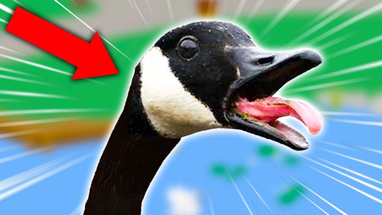 I AM GOOSE. (Untitled Goose Game)