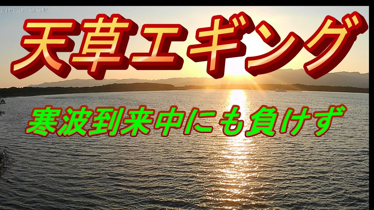 天草エギング　寒波到来中にも負けずエギングしてきた。（新和町、苓北町編）