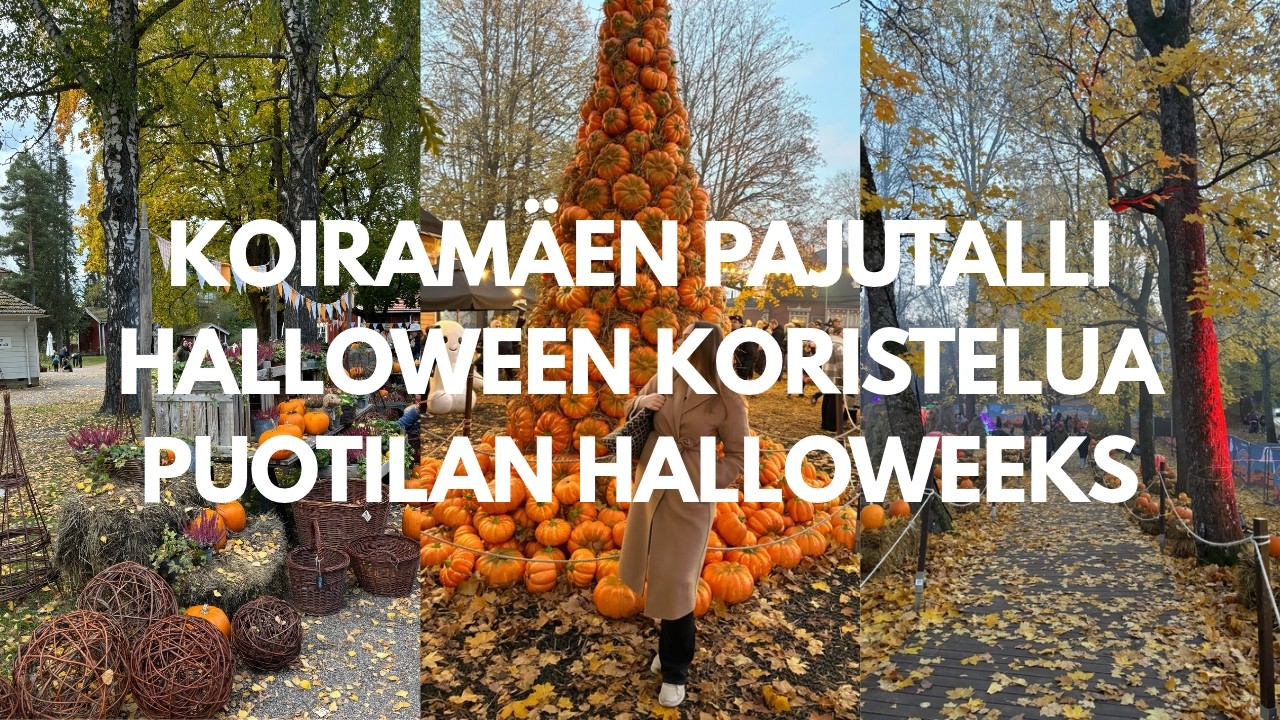 KOIRAMÄEN PAJUTALLI, HALLOWEEN KORISTELUA JA PUOTILAN HALLOWEEKS