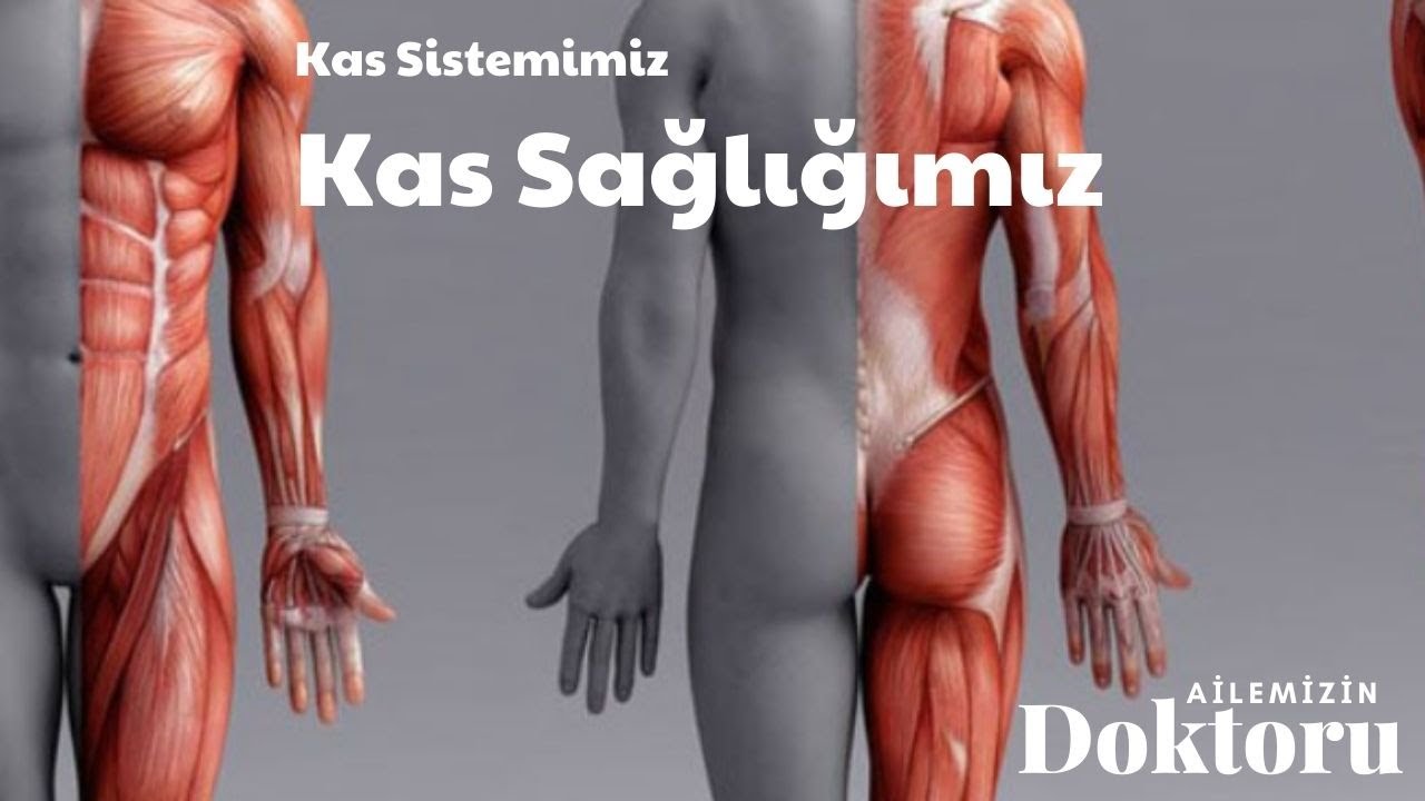 Kas Sistemimiz ve Kas Sağlığımız |Ailemizin Doktoru