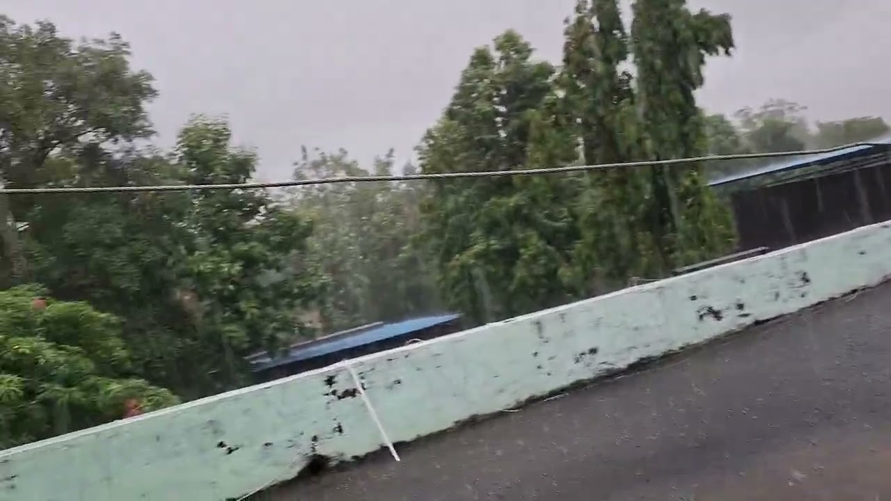 First monsoon rain#rain vibes#cold scenario 