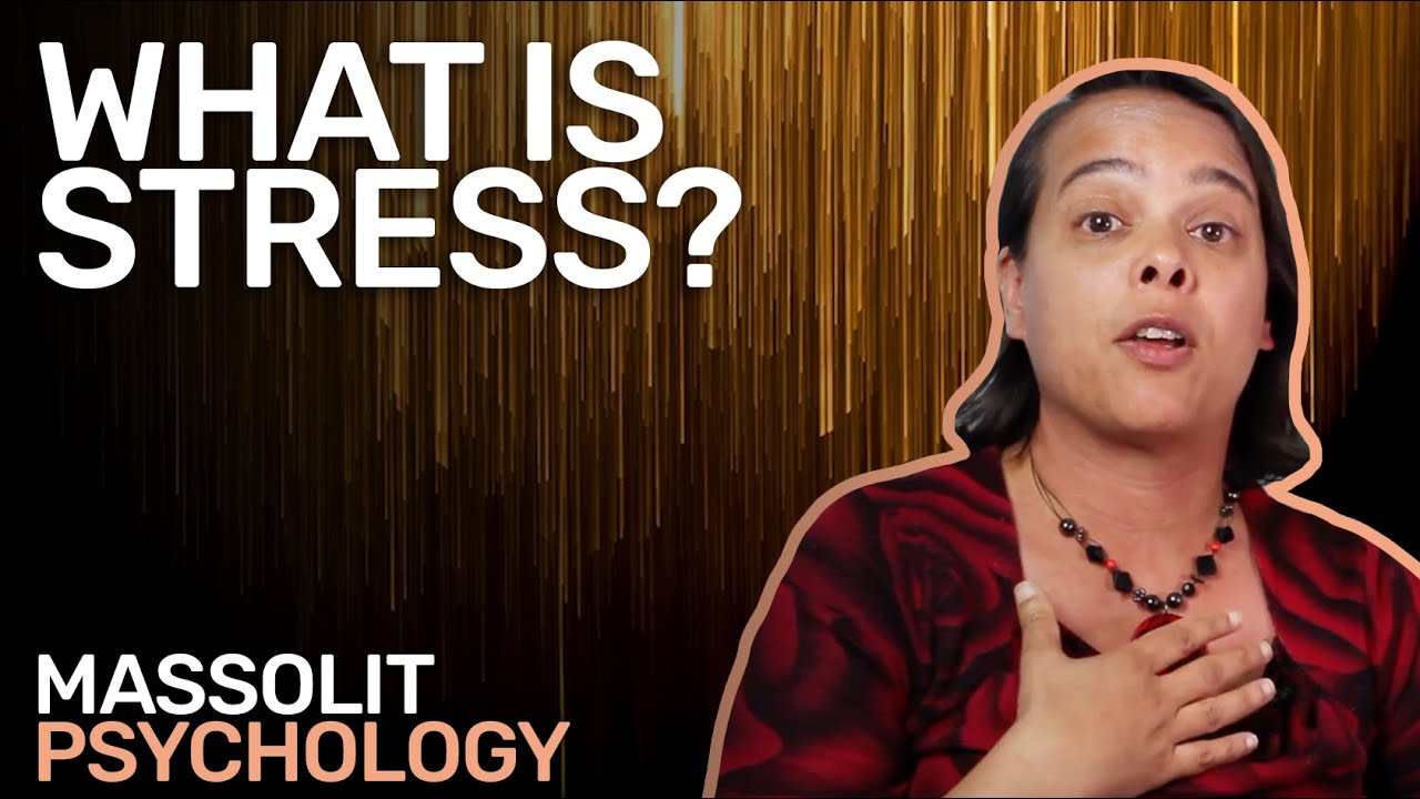 What is Stress?