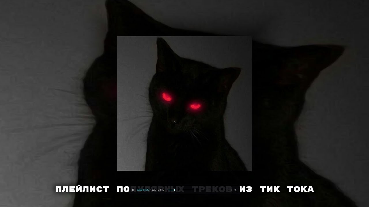 ПЛЕЙЛИСТ ПОПУЛЯРНЫХ ТРЕКОВ ИЗ ТИК ТОКА №3