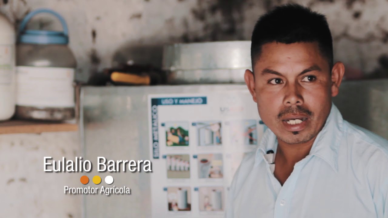 Documental sobre seguridad alimentaria y la resilencia en el corredor seco de Guatemala