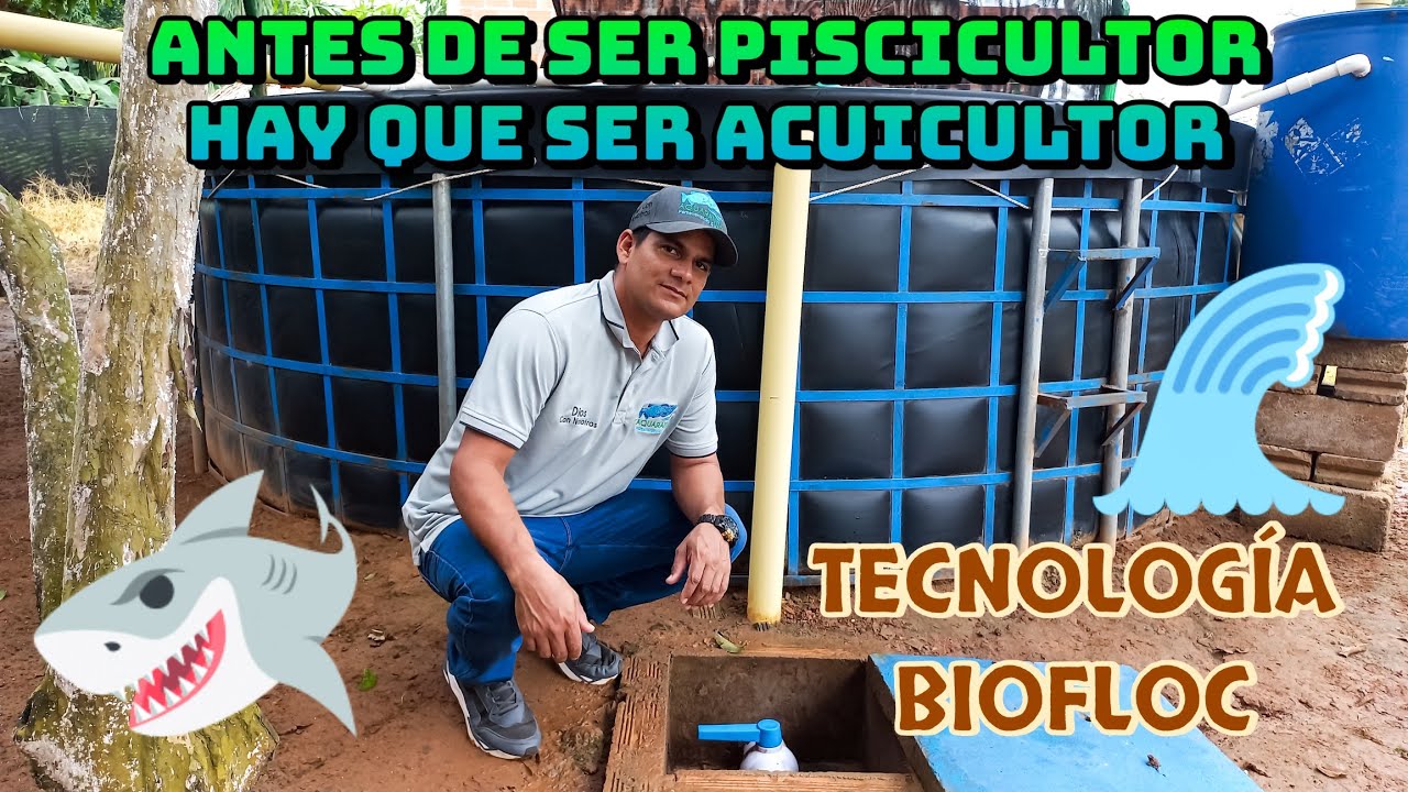 El FUTURO está en FLOC👌🚀