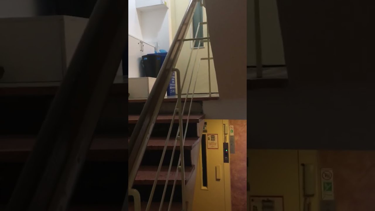 1960’s | Stahl-Zaiser | Gün Apt 26 | Mecidiyeköy / İstanbul , Turkey