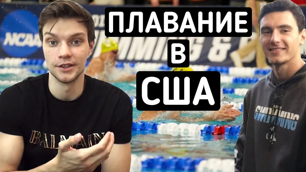 Плавание в США - Как получить спортивную стипендию в Америке по плаванию?