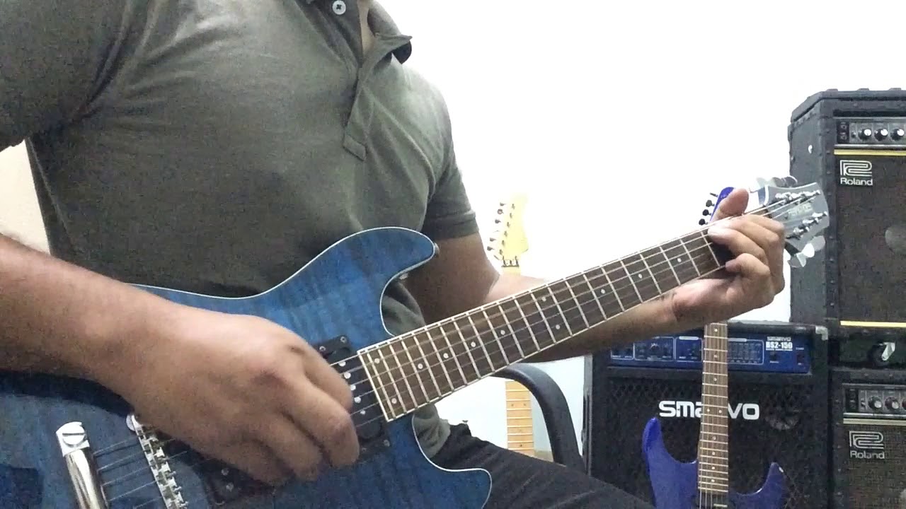 Fernandes APG-55s Sustainer