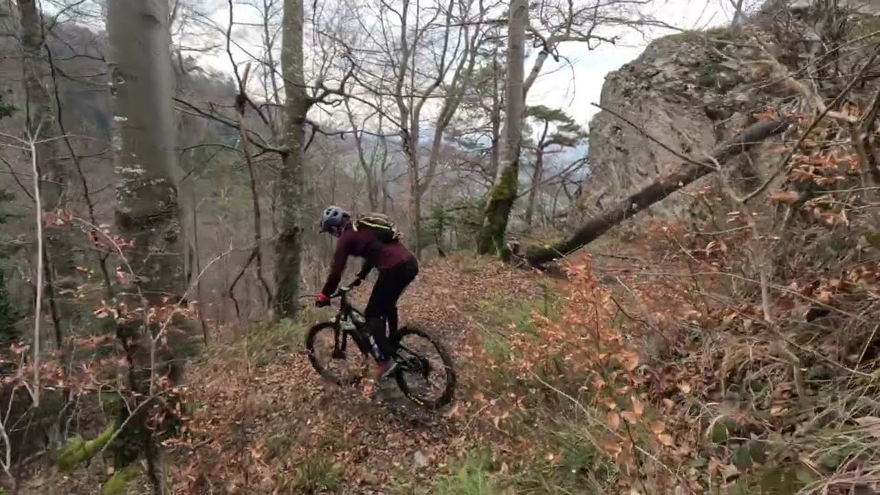 Genialer ausgefallener Blauen West, Challrüti und Felsplate Bike Trail bei Metzerlen!