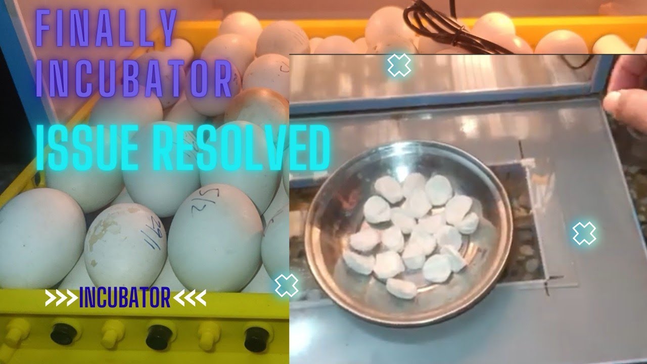 Finally incubator humidity controlling issue resolved 