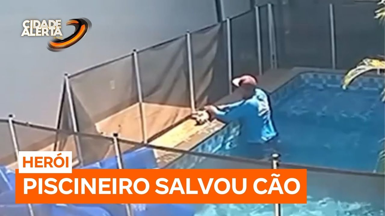 Piscineiro salva cãozinho de afogamento com massagem cardíaca em Goiânia