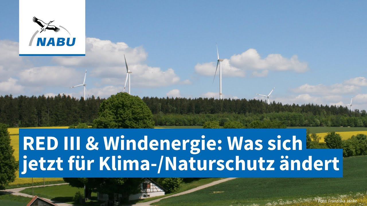RED III & Windenergie: Was sich jetzt f&uuml;r Klima- und Naturschutz &auml;ndert