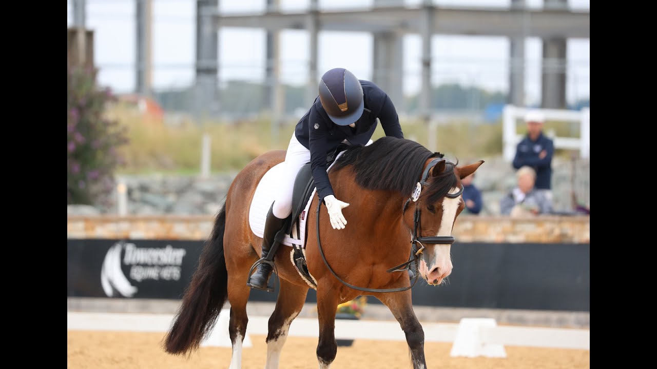Onley BD Summer Area Festival Novice Silver 5 | 70% 2nd Place Veronica Bunnie