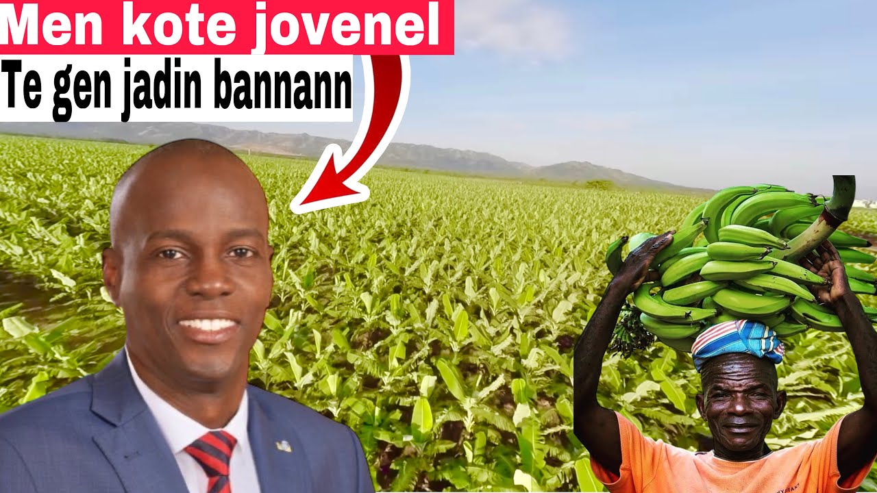An nal vizite kote Jovenel Moïse te gen jardin bannan nan/Agritrans/president Jovenel Moïse