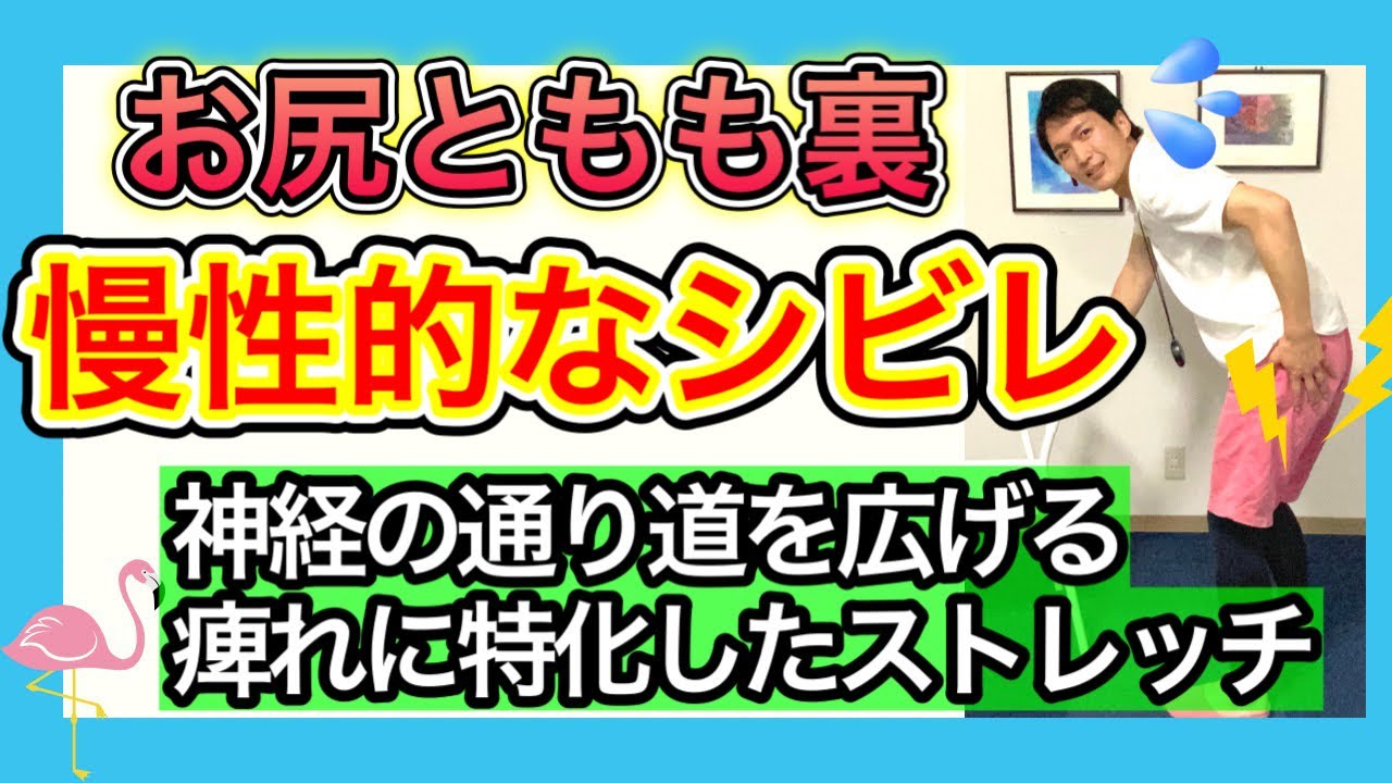 慢性的な痺れで歩くのが辛い方に坐骨神経の通り道を広げる4種類の筋肉のストレッチ
