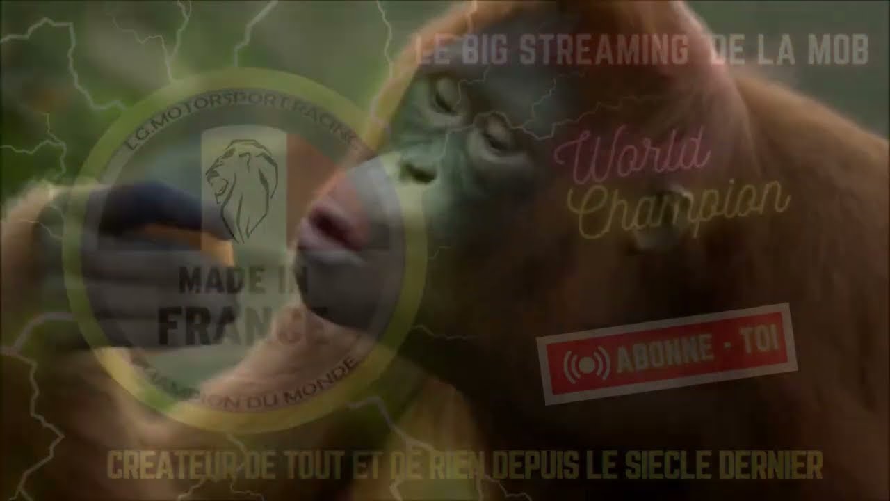 Comment bien calculer la Vitesse en fonction de la Transmission pour sa Mob