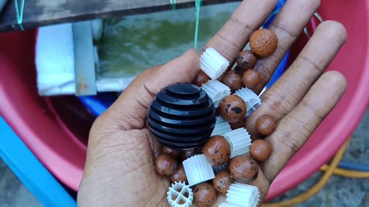 How To Setup Ras Filter System ??  Hindi