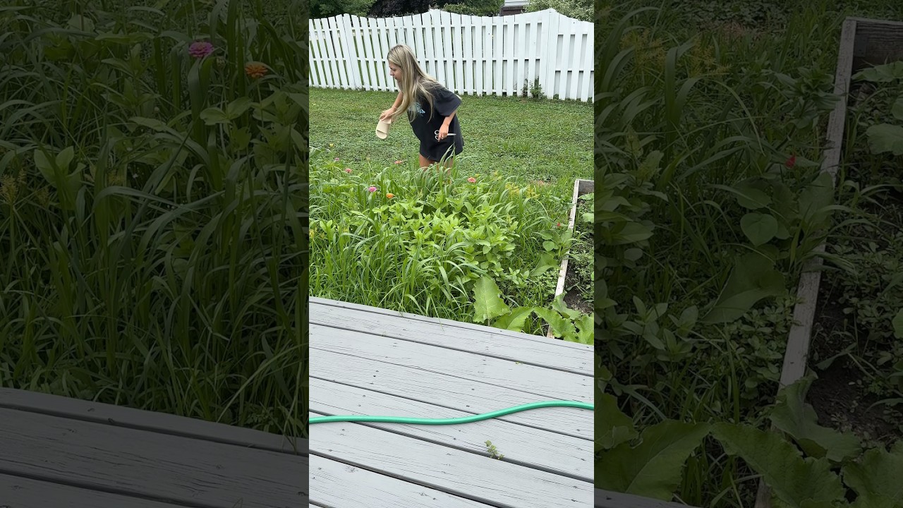 I love my chaos garden #morningroutine