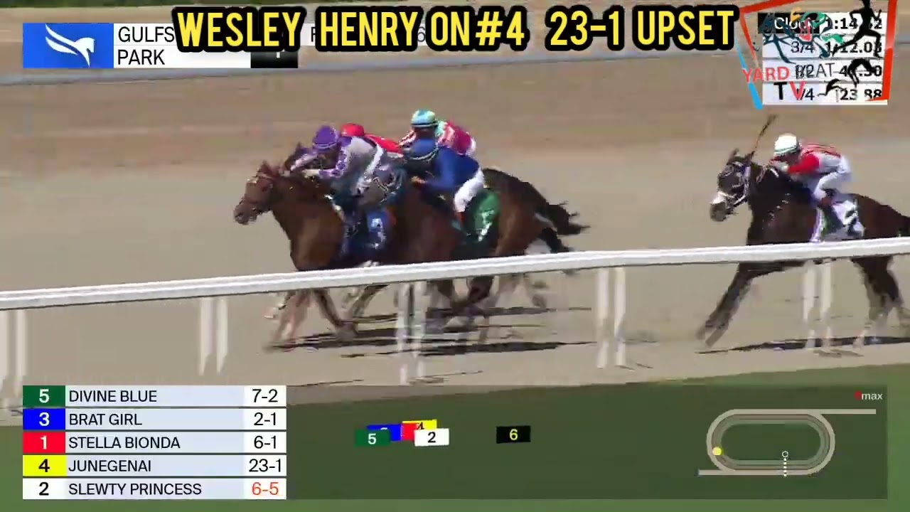 WESLEY CALLALOO HENRY VICTORIOUS ON 23-1 OUTSIDE @ GULFSTREAM RACE TRACK.|YYARD BEAT T.V 