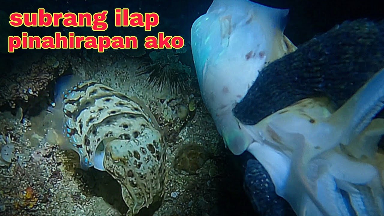 ep547 dive2 kulambutan pinahirapan ako subrang ilap